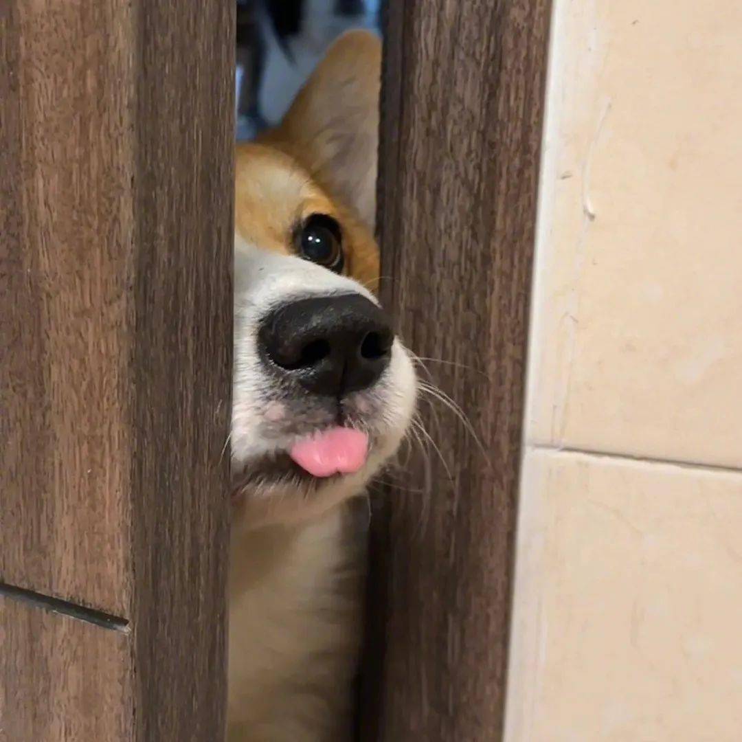 头像很有感觉的氛围感头像676767