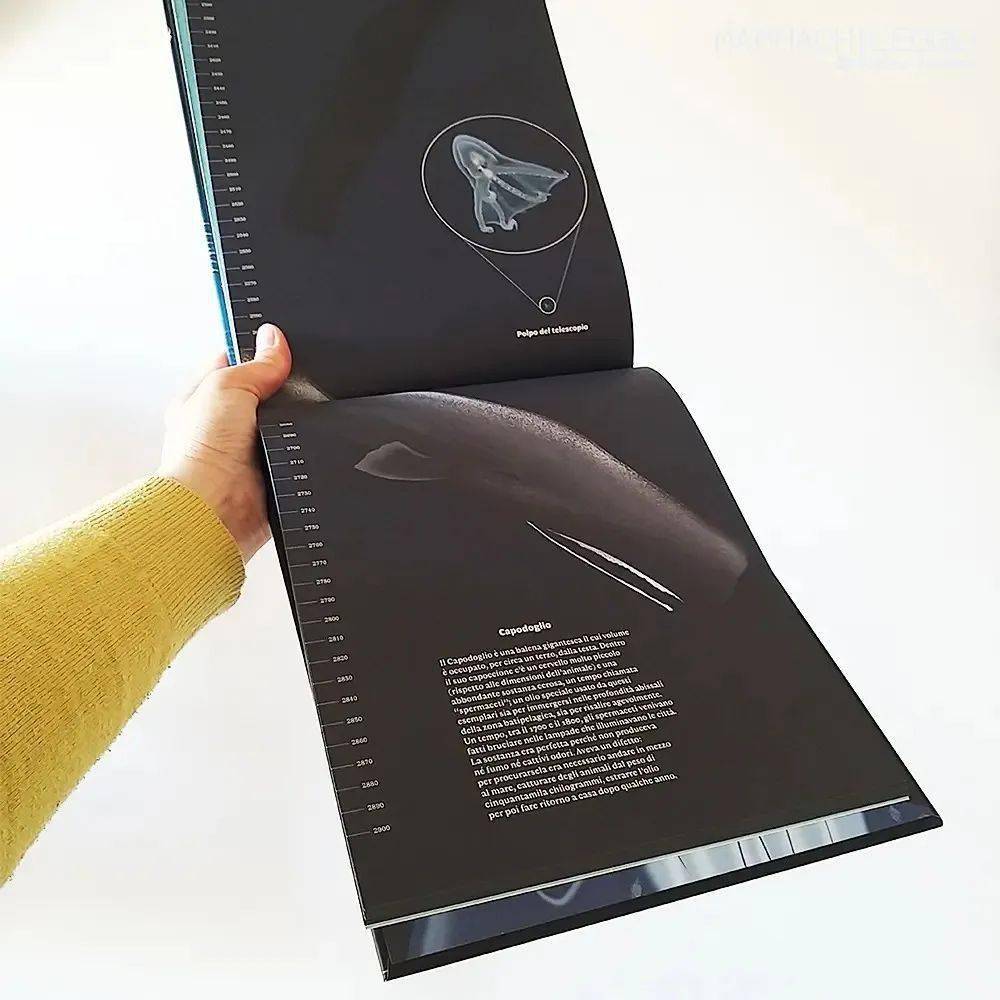 the blue - from the surface to the abyss: a browsable underwater