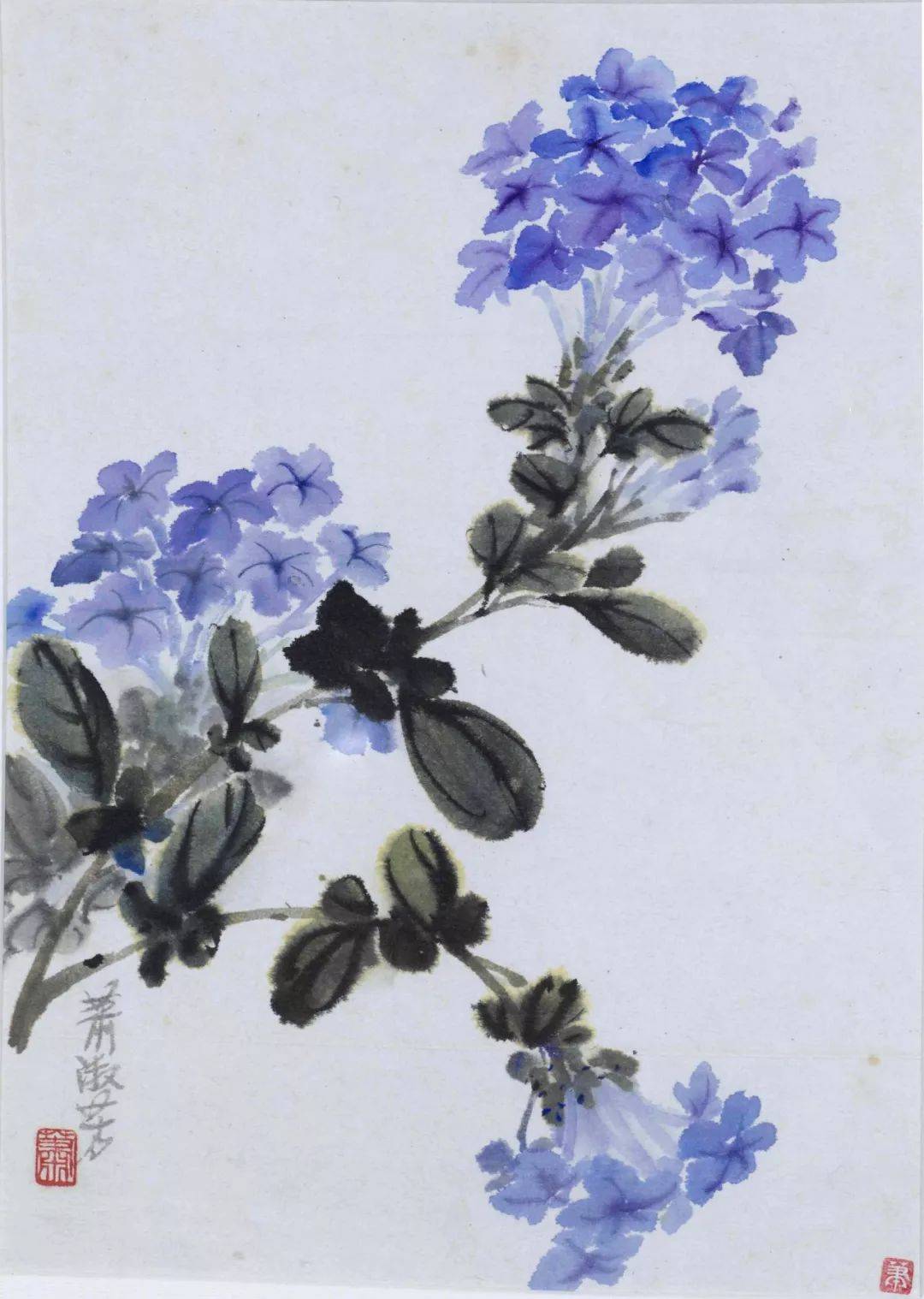 昙花_波罗蜜_般若