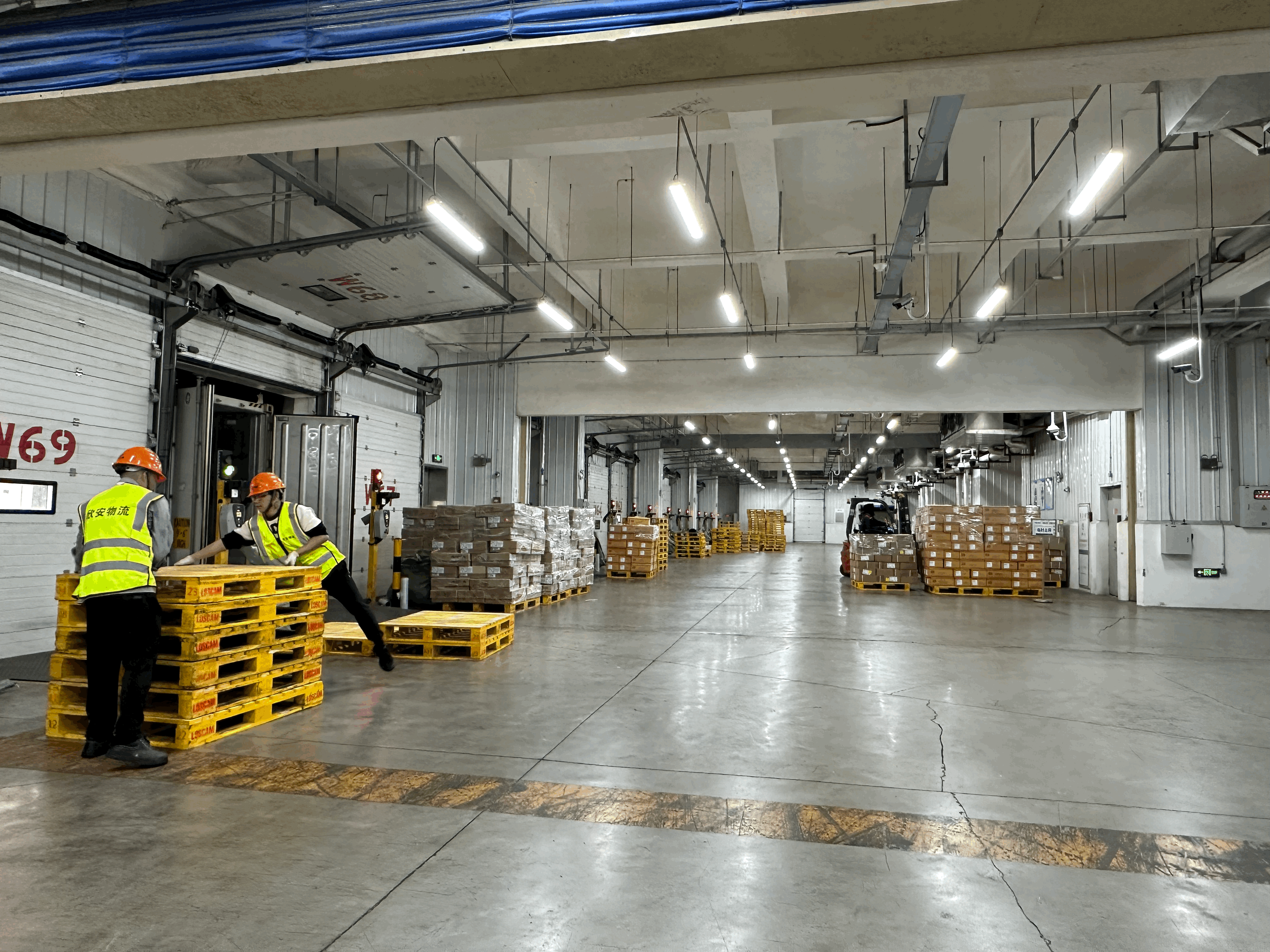 广州观察|构建千亿冷链格局,广州"大冰箱"如何跑出加