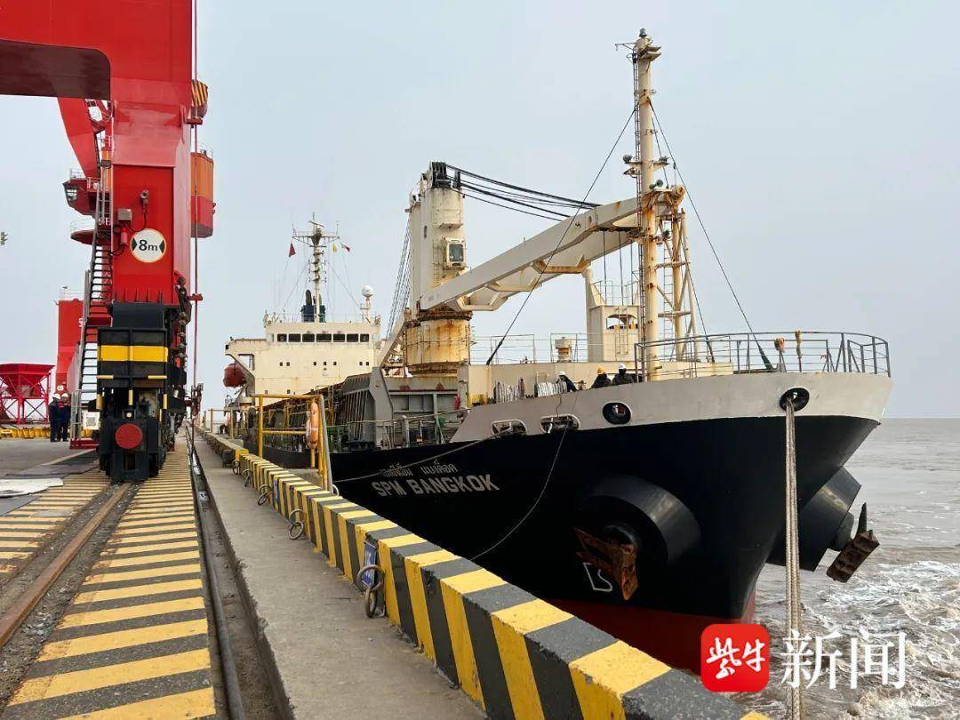 洋口港通用码头完成首次外籍货轮靠泊装卸作业_进口_纸浆_查验