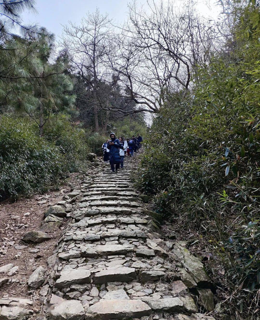 这样的活动应该全市推广……_蓬山_山顶_登山