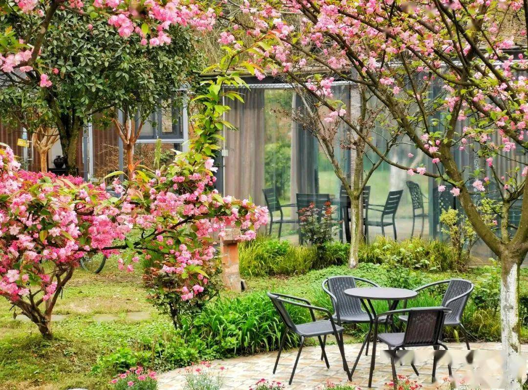 "三八"妇女节丨万花拾景园邀您共赴春日之约!