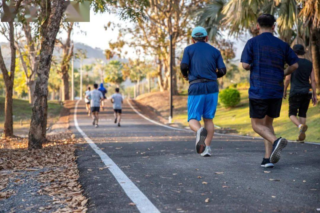 晨跑vs夜跑,到底哪个更健康?答案出乎意料_热身_进行_身体