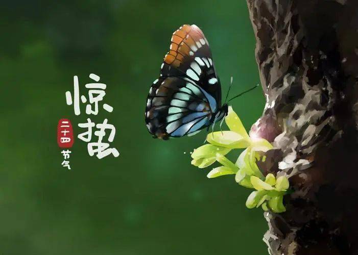 敬一丹:明日惊蛰