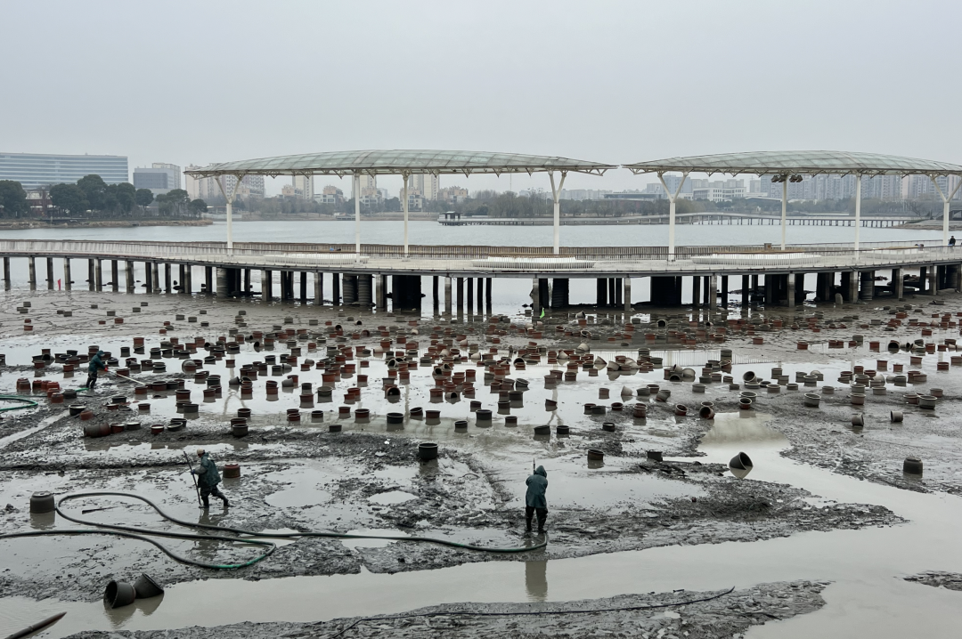 芜湖这个湖正在清淤,湖底出现大量陶盆咋回事?