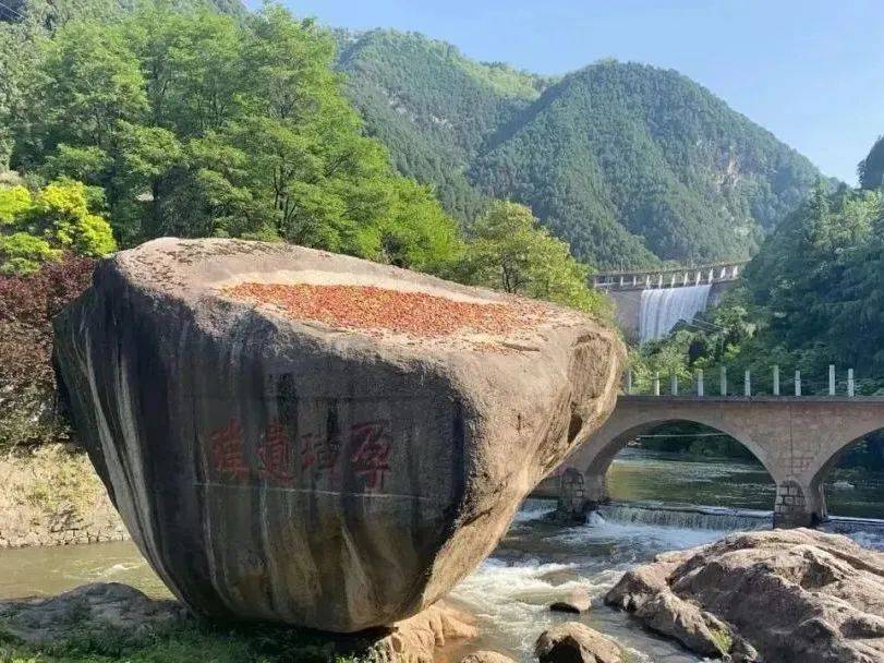 半价!宝鸡也有_景区_游客_文化