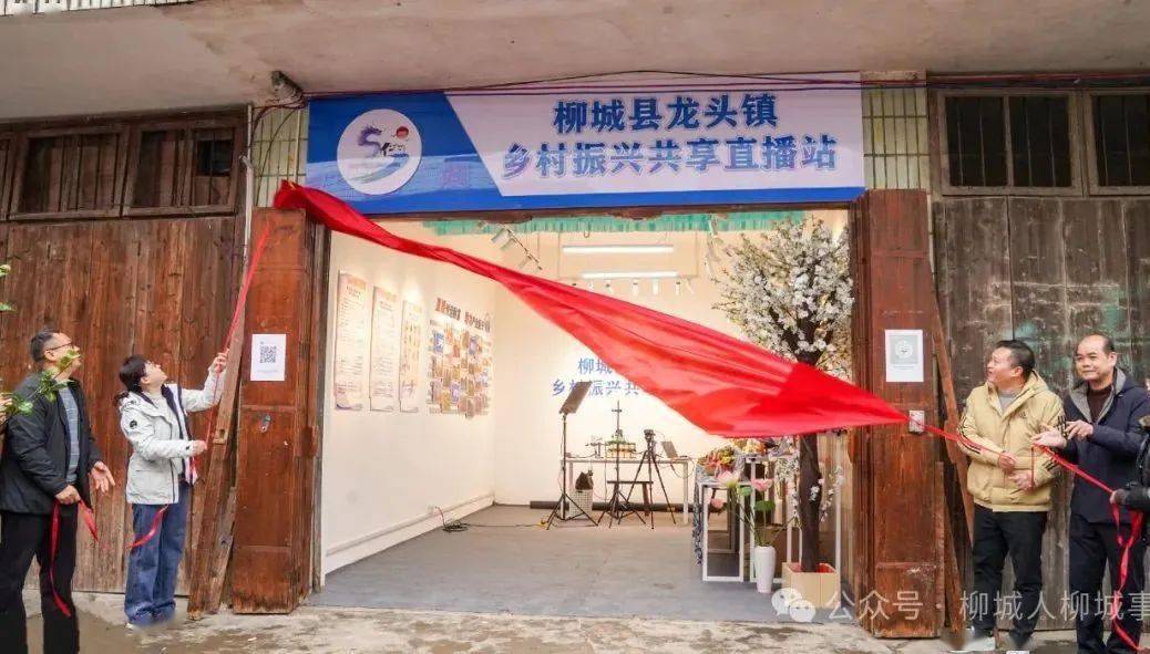 柳城第一个揭牌!_龙头镇_直播站_活动