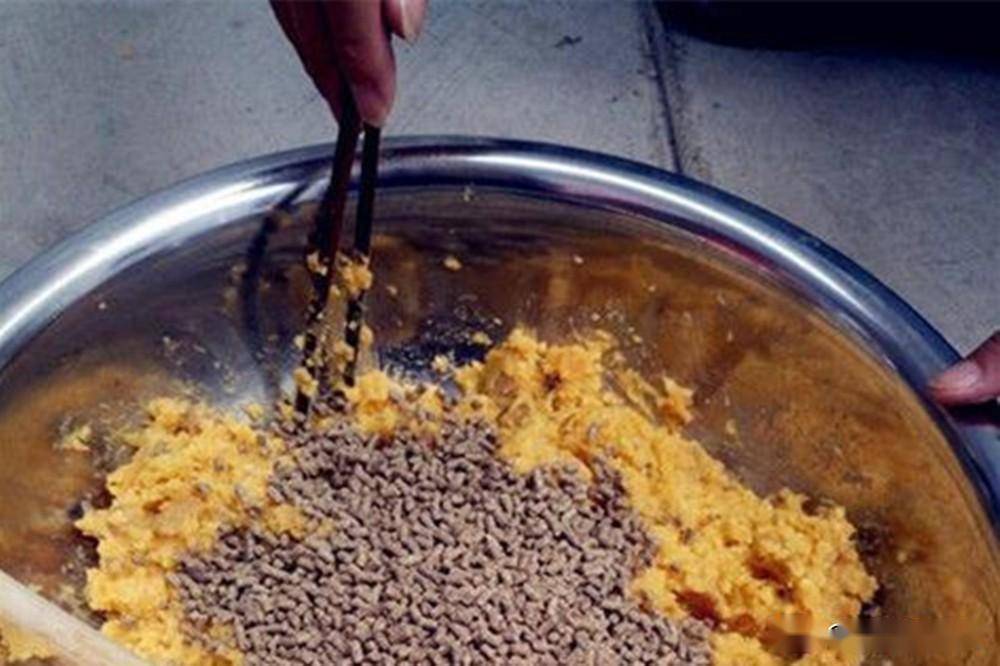 甚至酒米都忘记带了,手中带了不少蚯蚓.