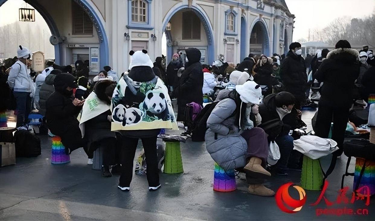 韩国粉丝凌晨排队道别_大熊猫_中国_民众