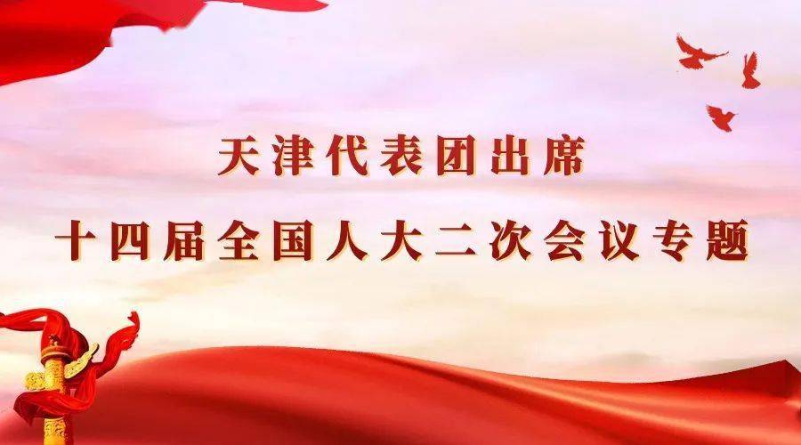 十四届全国人大二次会议天津代表团新闻发言人进行新闻发布
