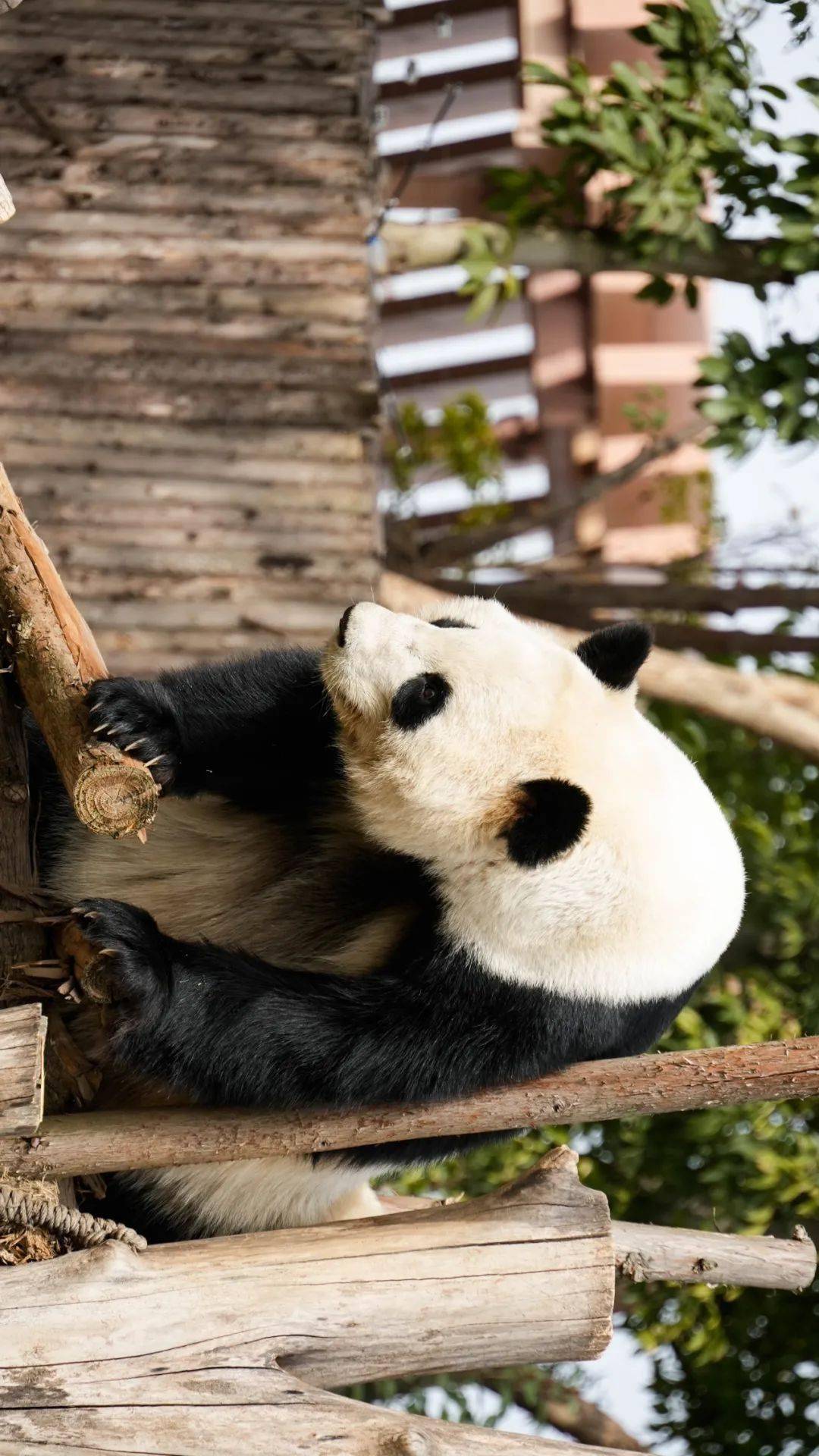 1080_1920竖版 竖屏