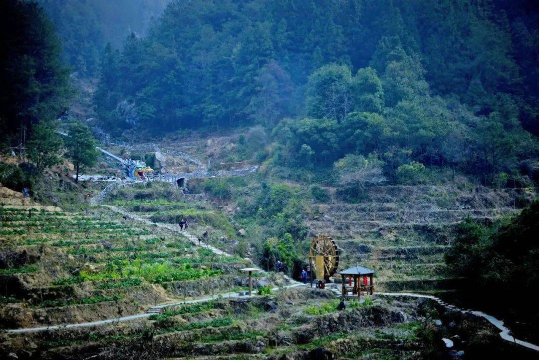 【洛江丫好势】 虹山春景正当时,快来赏花踏青