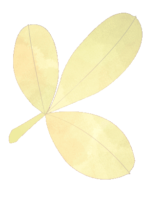 春寒情意暖在曲阳社区邂逅贴心服务集市