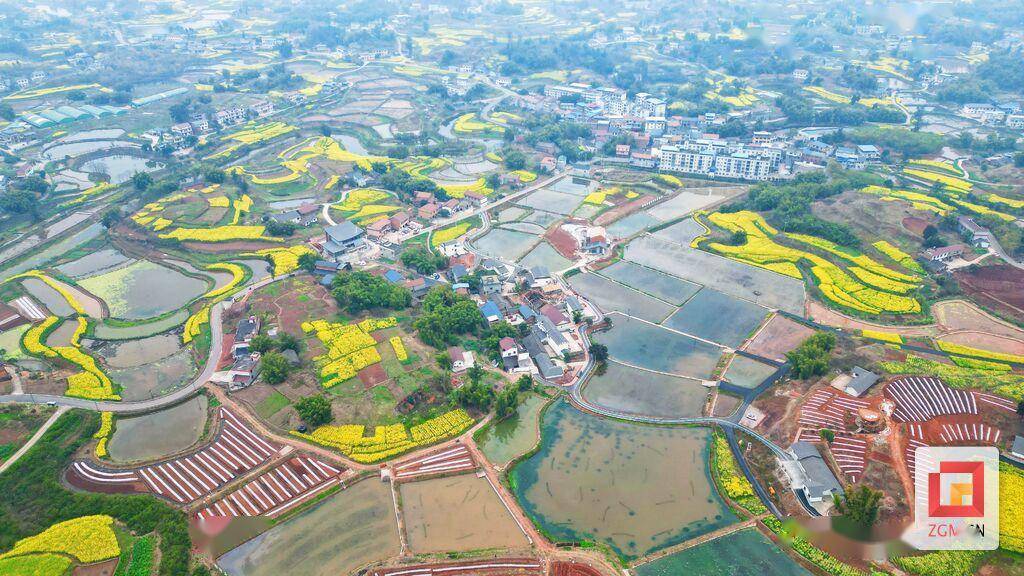 3月7日,记者站在沿滩区九洪乡三河村集体经济产业园的山顶远远望去