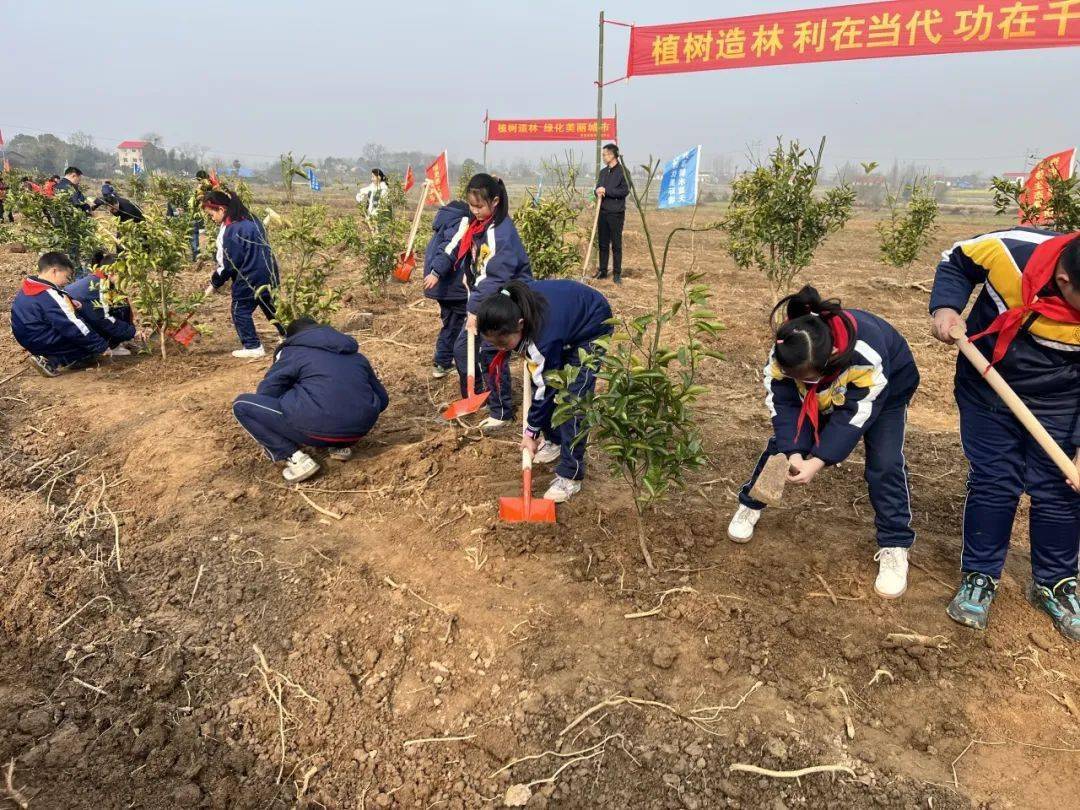 "植"此青绿 实验小学,南山中学开展植树活动