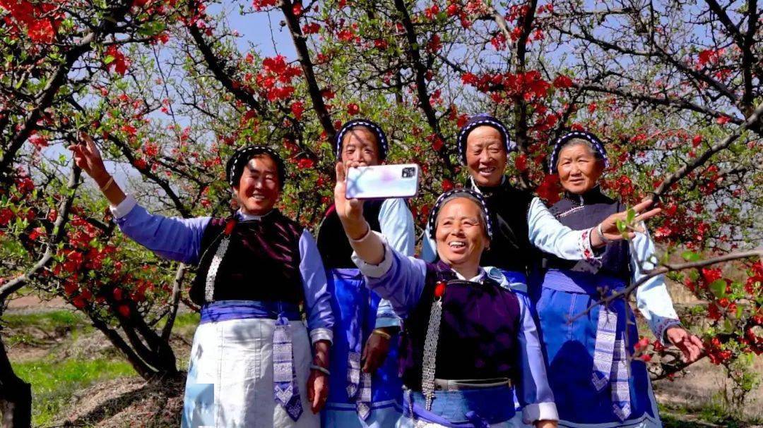 赏花踏春指南快收好~_桃花_油菜花_洱源县