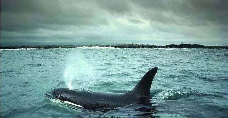 每日涨知识一些有趣的科普小知识