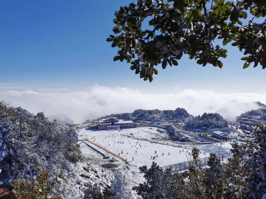 八台山景区aaaa级景区,门票90元地址:达州万源市八台镇五峰山景区aaaa