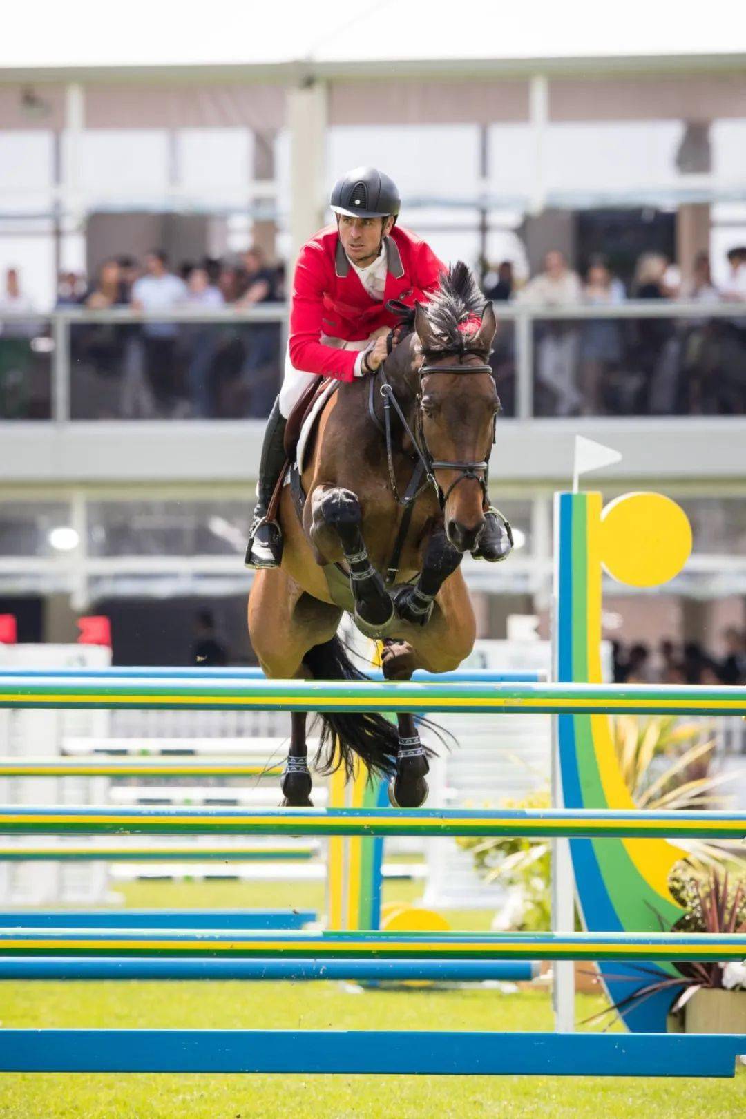 19位世界前30骑手的燃魂之战荷兰马术大师赛中国首次线上直播