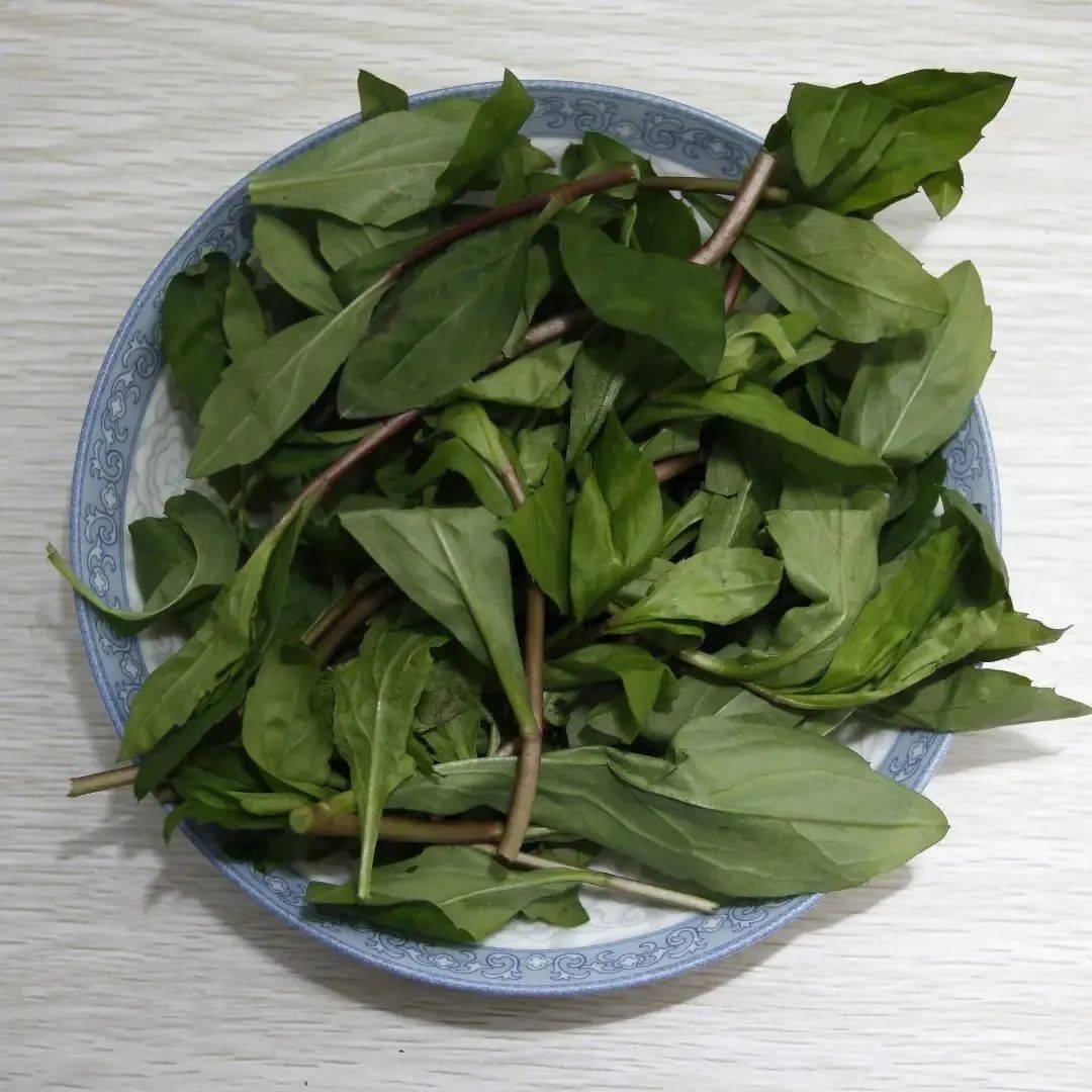 上春山吃春菜南京的春天一口炫进肚子里