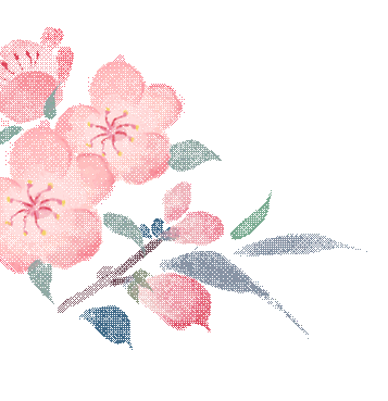 动起来司法之花灼灼其华附全市法院女职工先进典型代表