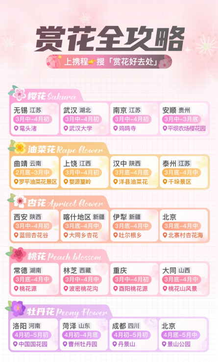 花开正好携程赏花热度上涨330国内赏花门票预订增长五成