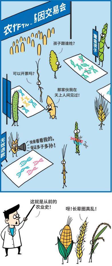 转基因让育种变得精确,可控