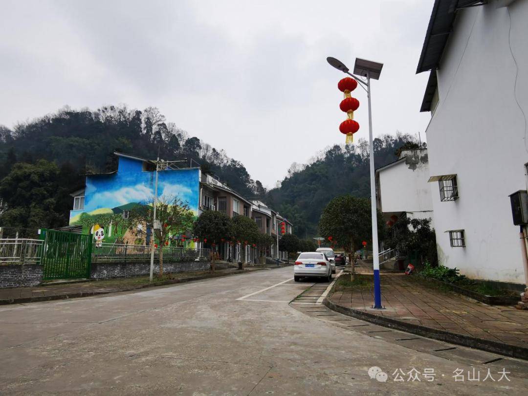 【乡镇动态】情系百姓办实事 担当作为解民忧_路灯_横山村_群众