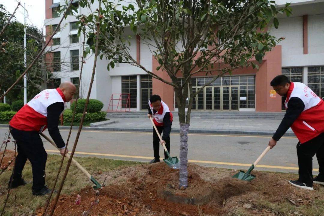 邝逸平率队到五华县高级中学开展绿美五华植树活动
