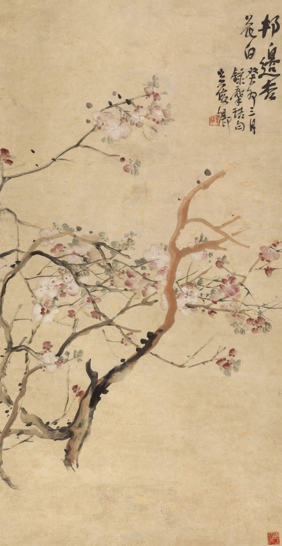 红杏枝头春意闹,历代名家春花图_杏花_局部_佚名