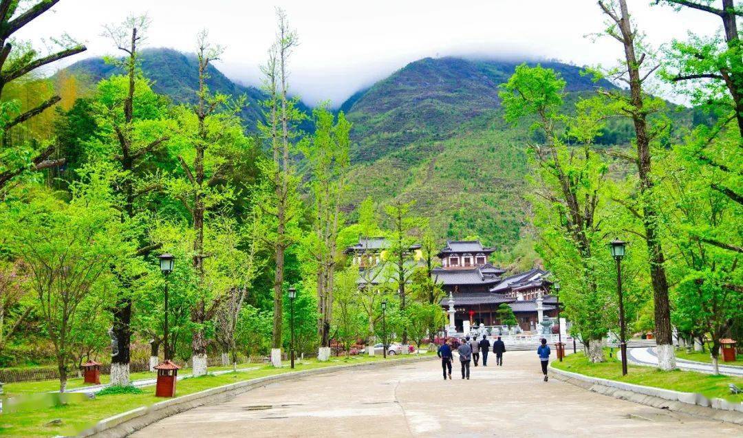 【瓯江潮漫游】禅意山居 安福寺的心境体验