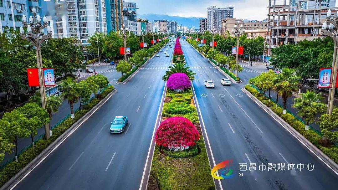 西昌市摄影家协会作品展花开西昌