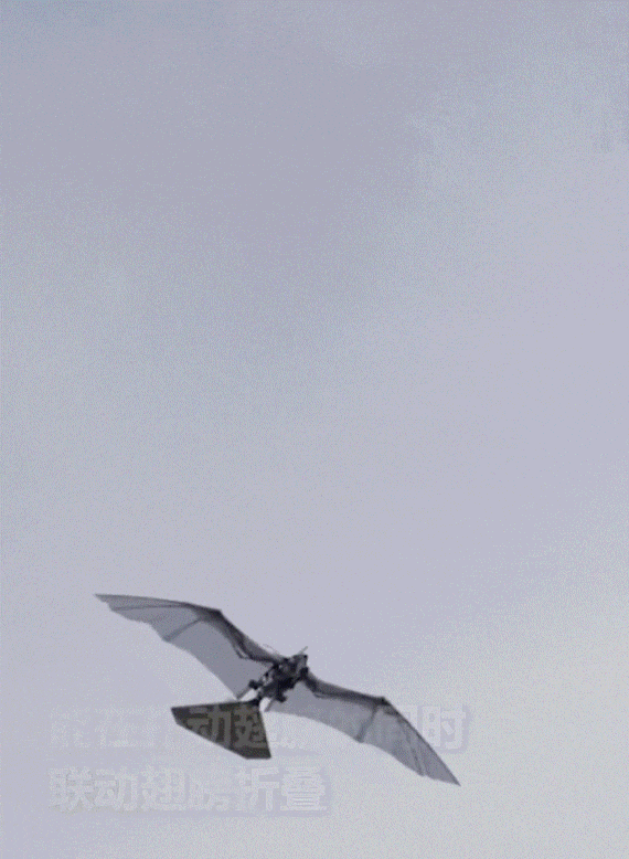 "_小隼_飞行器_翅膀