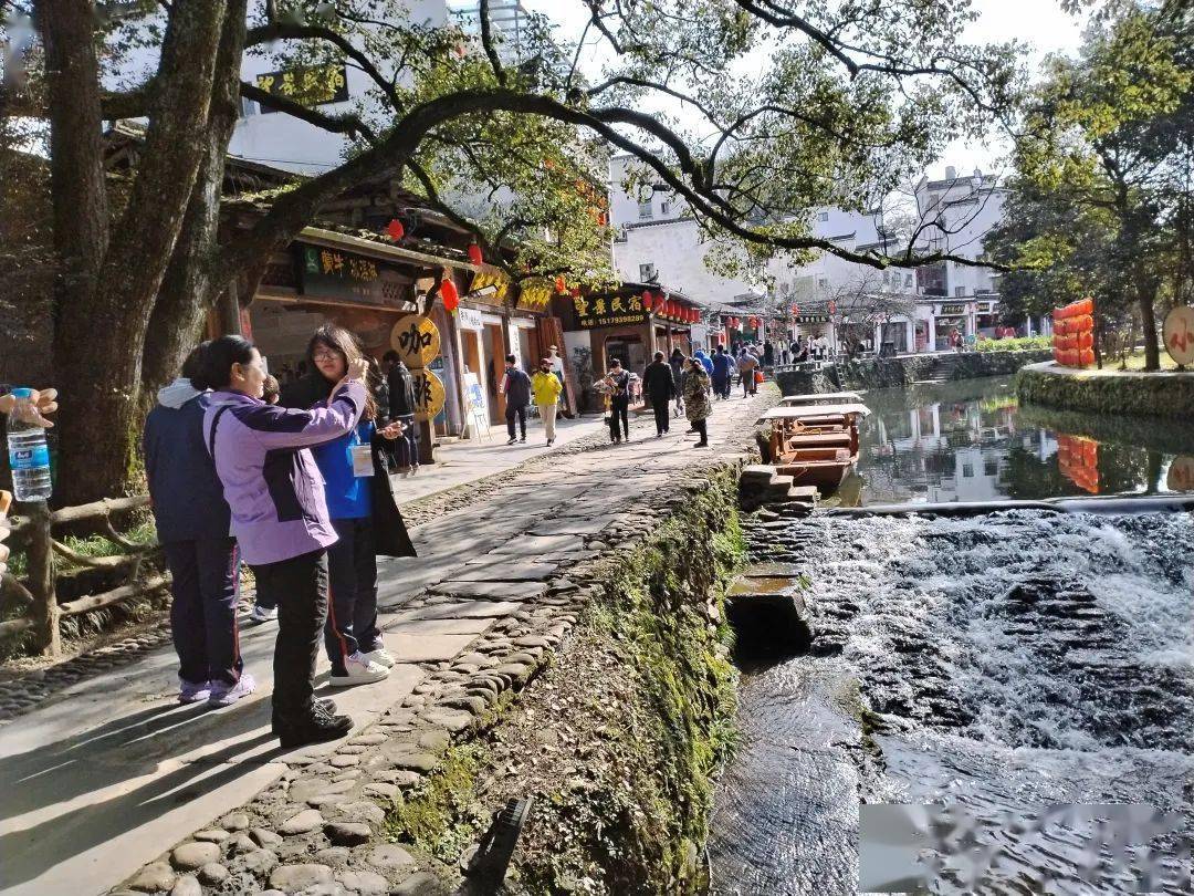 严田迎来盛花期,江岭花海初现|阳春三月,切莫辜负了婺源的春光_景区