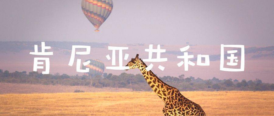 暑假去非洲看动物大迁徙一生一定要见证一次的神迹