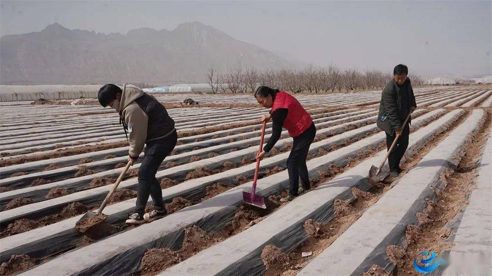 春耕备耕正当时红古区农资储备充足春耕有序展开