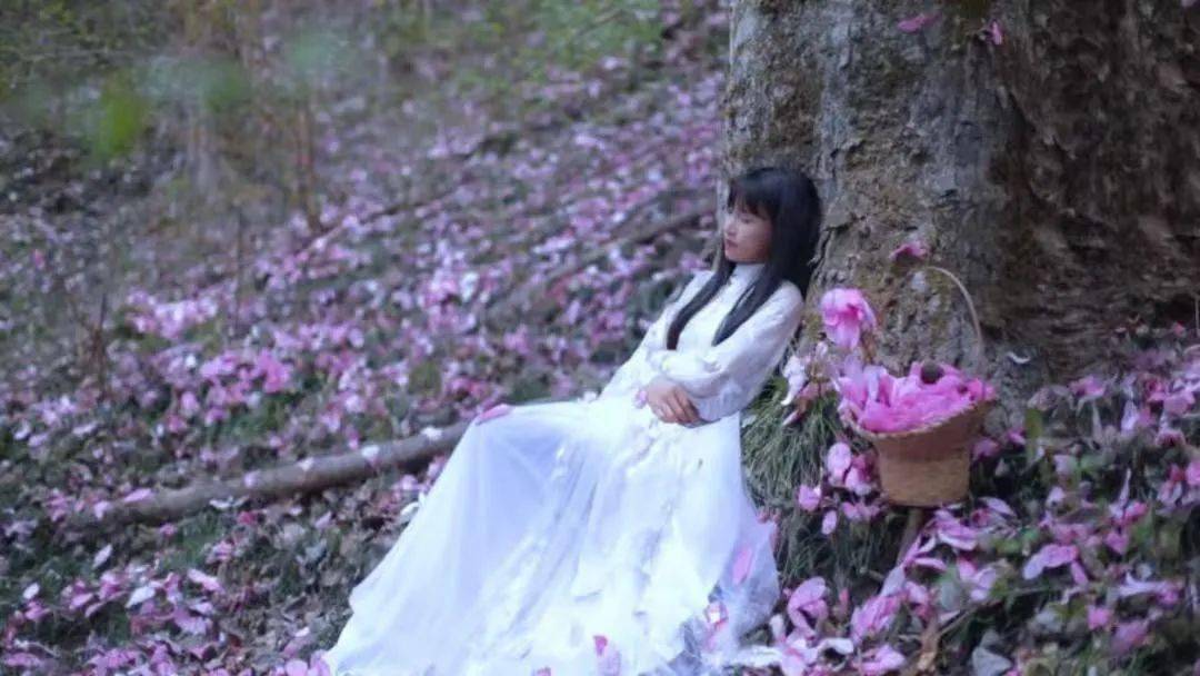 上图来源  李子柒这里曾经出现在李子柒的视频里,并且,她还用辛夷花
