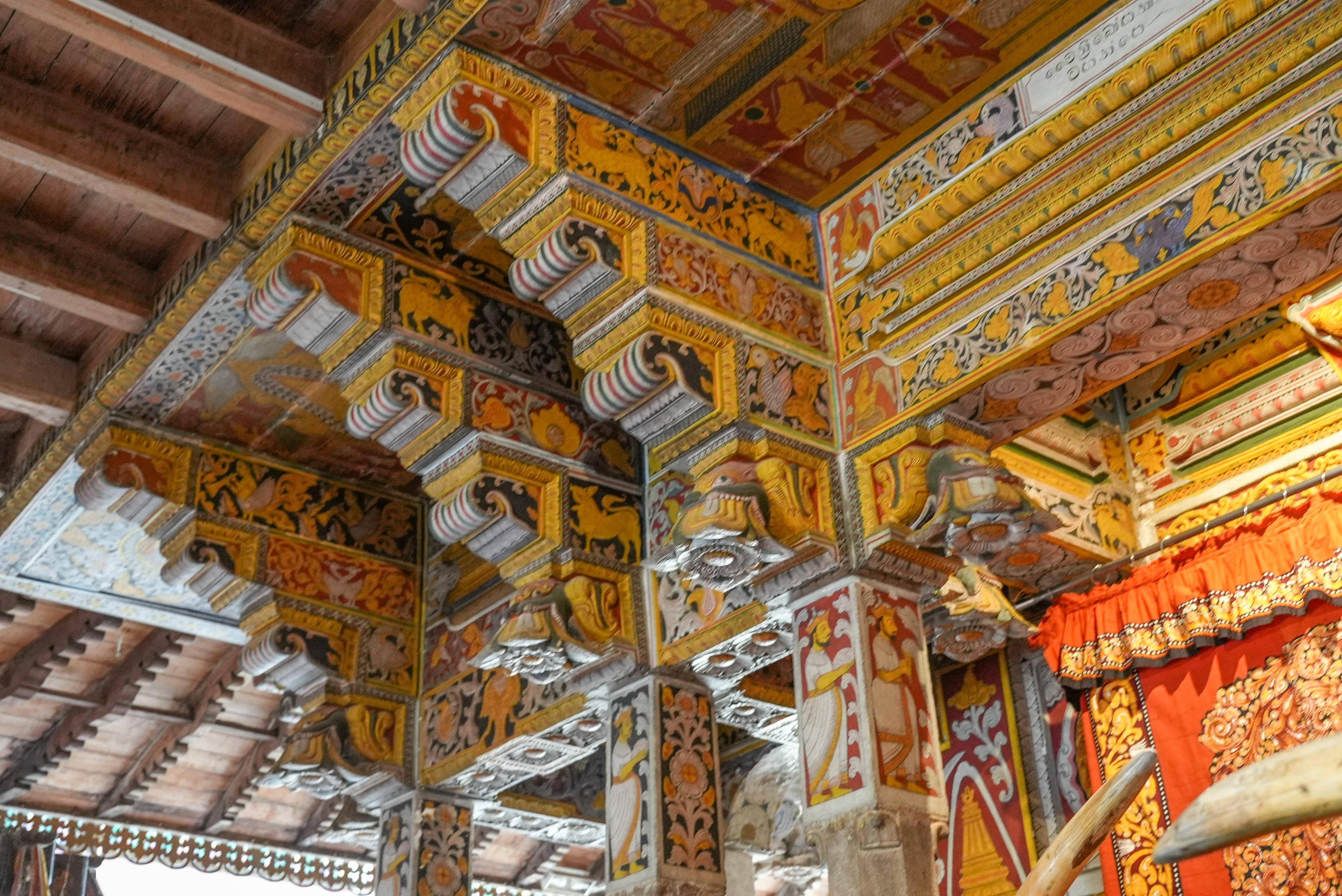 你可以参观茶叶博物馆和茶园,了解茶叶的制作过程,品尝当地的特色茶品