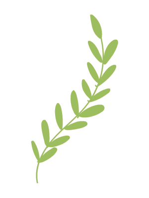 课程树文化游戏促成长