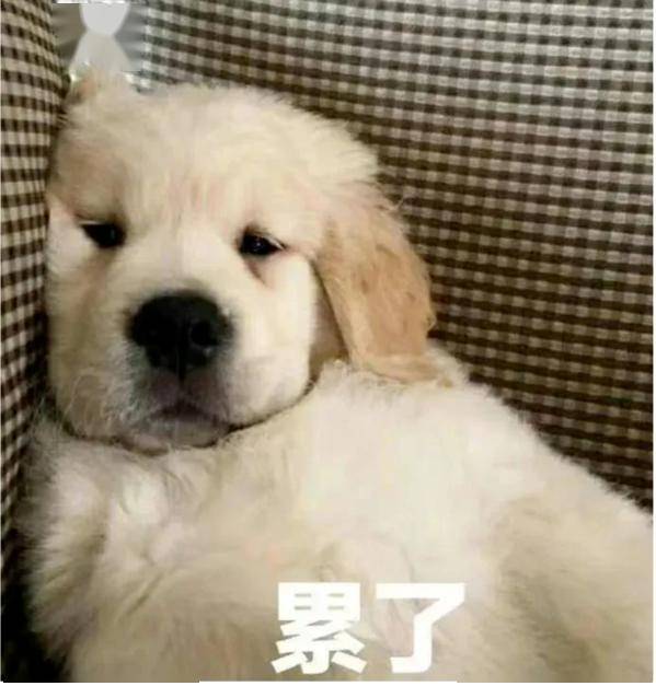 "明明啥也某干,但感觉到很使累慌,原因是……"_决策_生活_影响