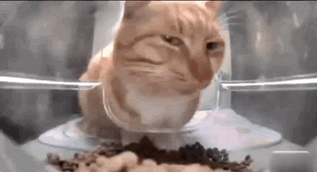 不看文物看黑丝700万网友围观鉴宝直播