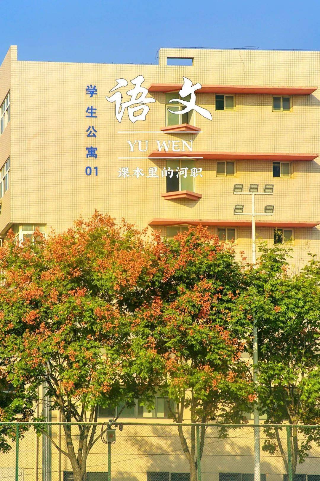 郑州电力专科学院录取分数_2023年郑州电力高等专科学校录取分数线_郑州电力高等专科学录取分数线