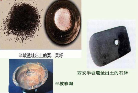 从河姆渡遗址发现的五叶纹陶块谈起――兼论我国蔬菜