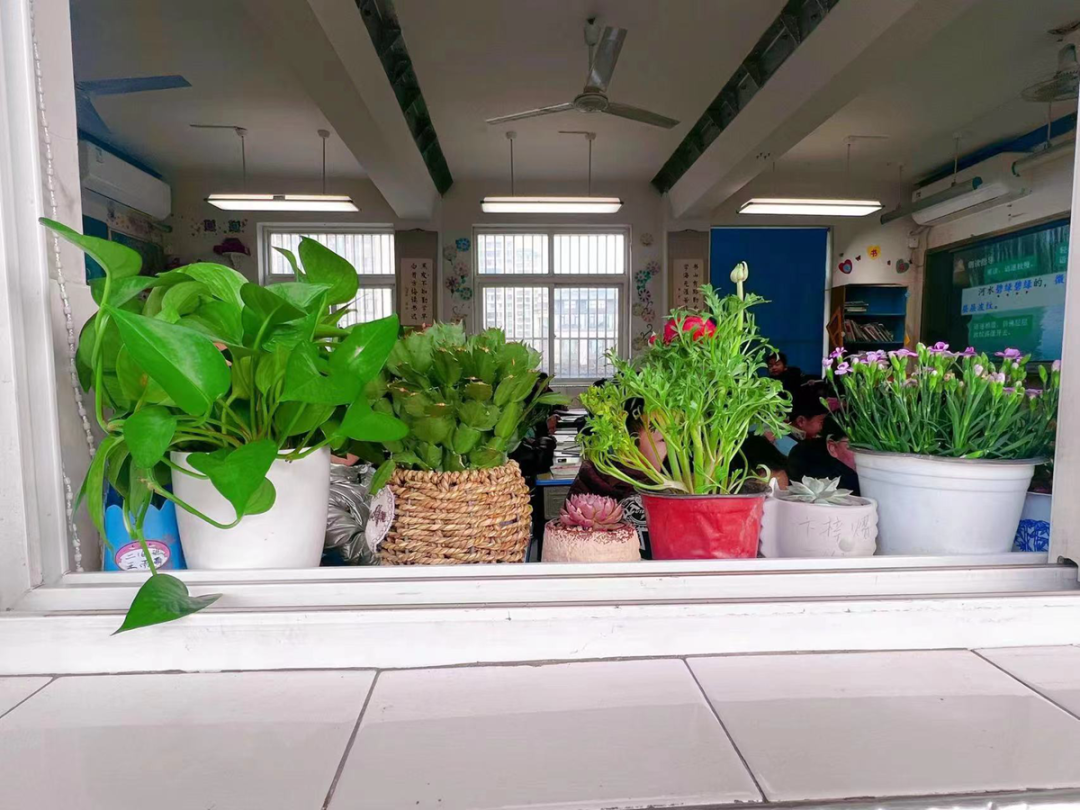 "植"此添绿 共赴美好——东板桥校区开展"植树节"活动_绿色_植物_教室