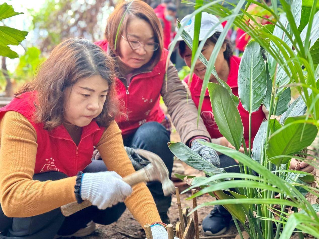 植根希望绘就兰图西乡街道开展植树节科普活动