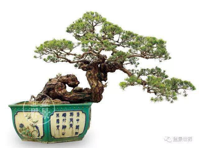 二月二龙抬头鸿运当头