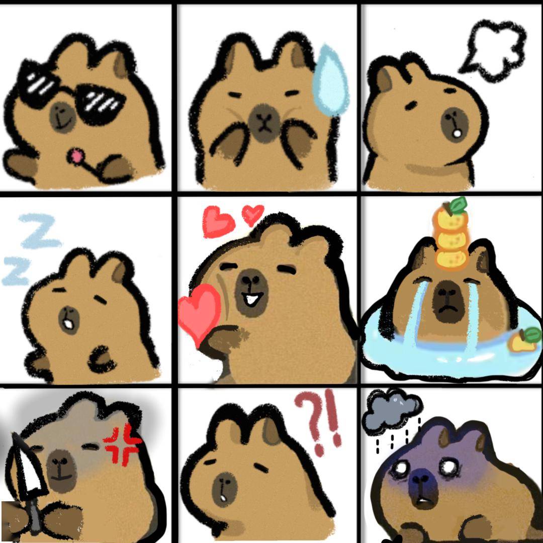 水豚哲学与卡皮巴拉对话感受大学里的豚门之道