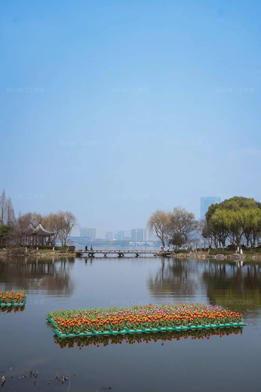 【图说】瓜渚湖东岸公园郁金香的探营_摄影_包装工