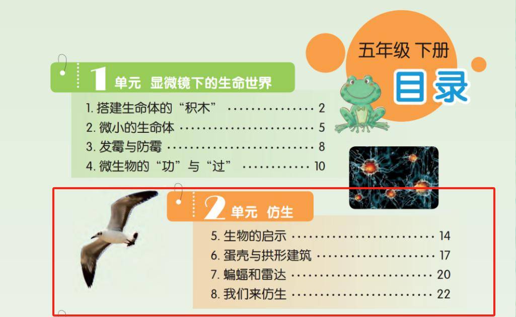 灵感点亮科技一本书带孩子揭开仿生学的奥秘67